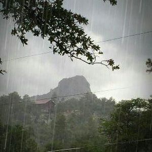 Meet your Posher, Jess